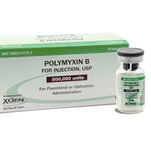 Polymyxin B là thuốc gì? Công dụng, liều dùng